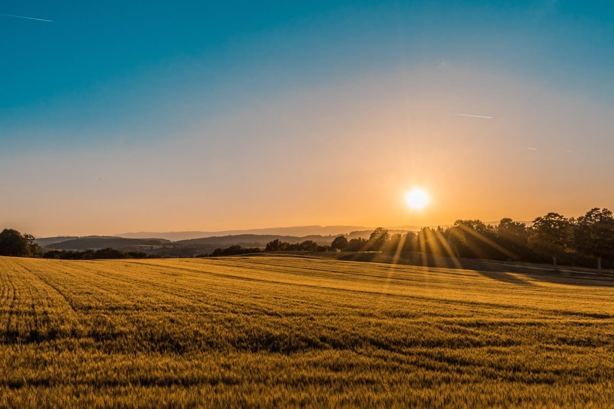 Development land at golden hour